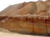 Eocène inférieur carbonaté ; carrière de Boukra