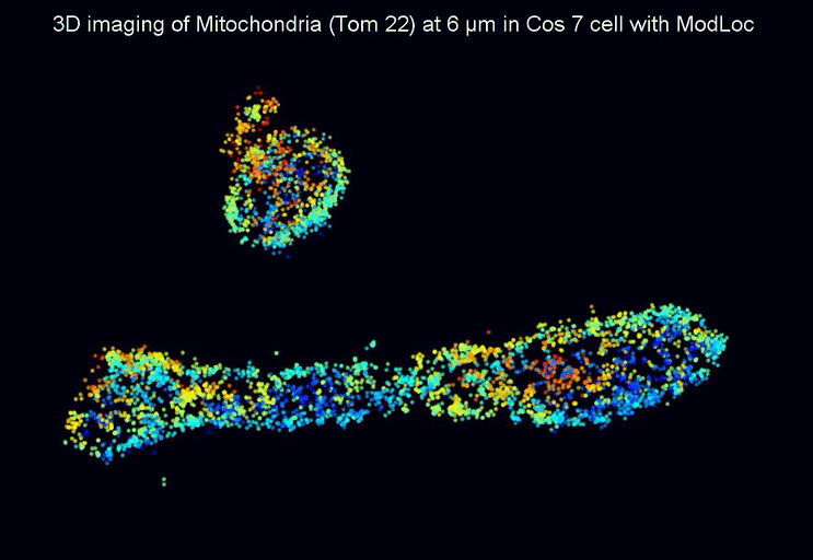 Gif_modLoc_mitochondria