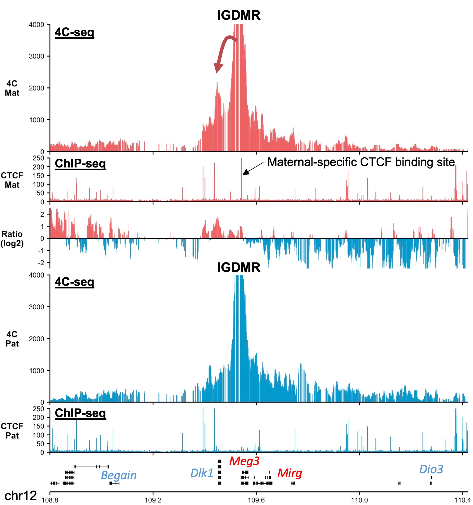 Dlk1-Dio3 and 4C-seq