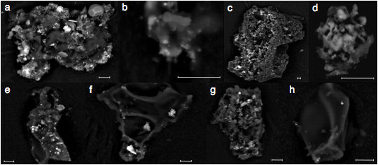 ::ARTICLES:17:UCAMMs_SMIS_AetA:Version_V_finale:images_ucamms_alternatif.pdf