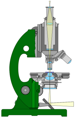 Schéma d'un microscope