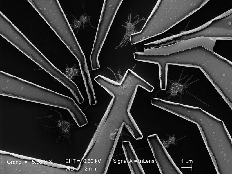 Nanotubes de carbone obtenus par croissance CVD entre contacts supraconducteurs, Crédits : Physique Mesoscopique, LPS Orsay