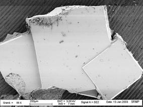A single crystal of a superconductor at millimetric scale  : D. Colson, DSM/IRAMIS/SPEC