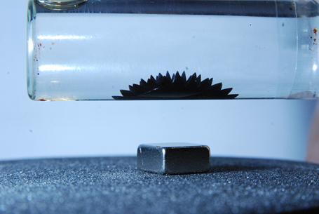Effet du champ magnétique créé par un aimant sur un liquide aux propriétés magnétiques, un « ferrofluide », J. Bobroff, LPS